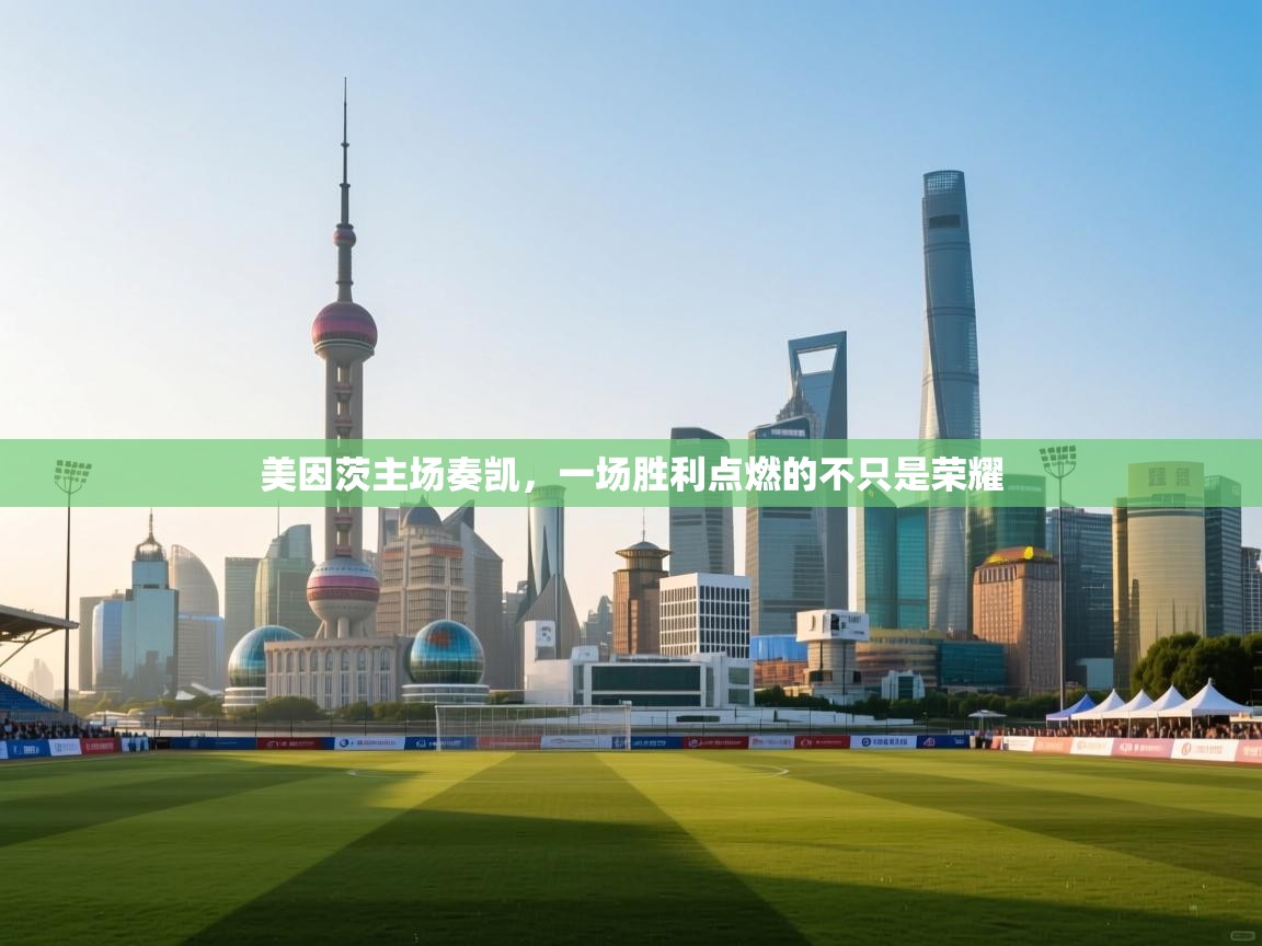 美因茨主场奏凯,一场胜利点燃的不只是荣耀 第2张